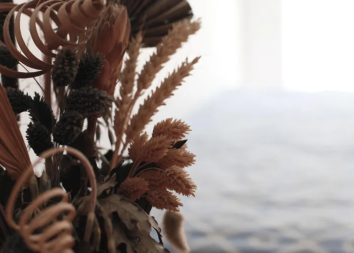 Anastasia & 3* بلدة كوس