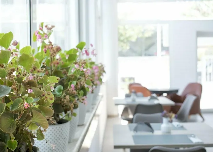 Anastasia & 3* بلدة كوس