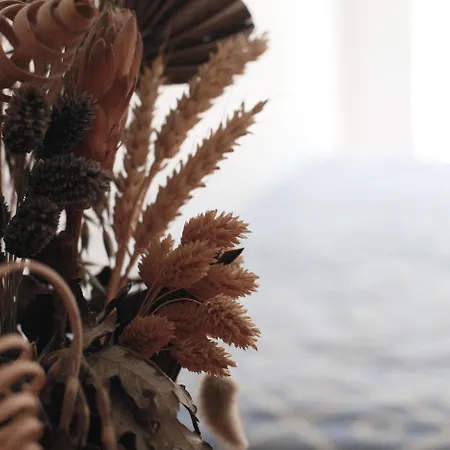 Anastasia & 3* Kos By