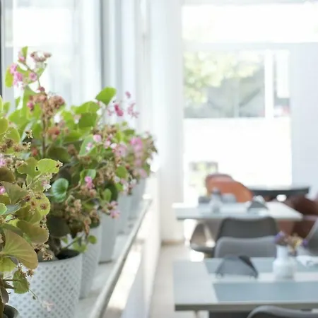 Anastasia & 3* Kos By